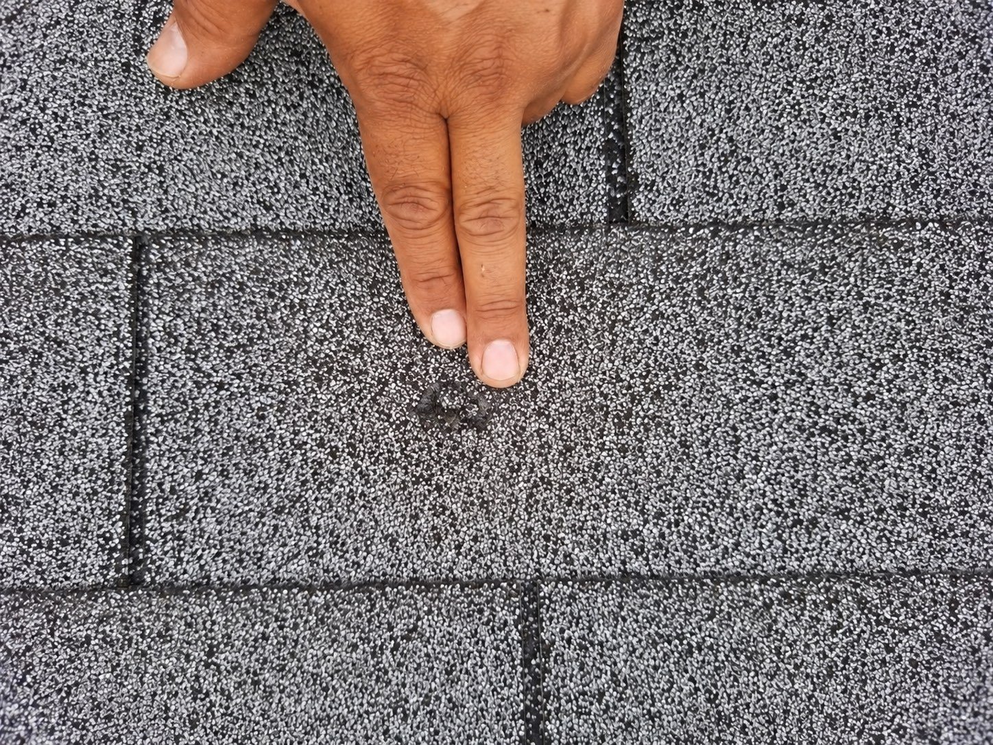 Hail impact bruise on an asphalt shingle in McAllen, Texas with granules knocked loose, indicated by hand