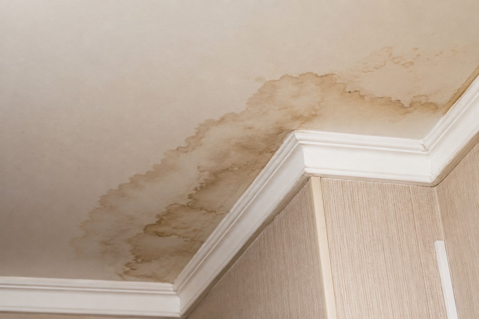 Brown water stain spreading across an interior ceiling near crown moulding from a roof leak in Edinburg, Texas