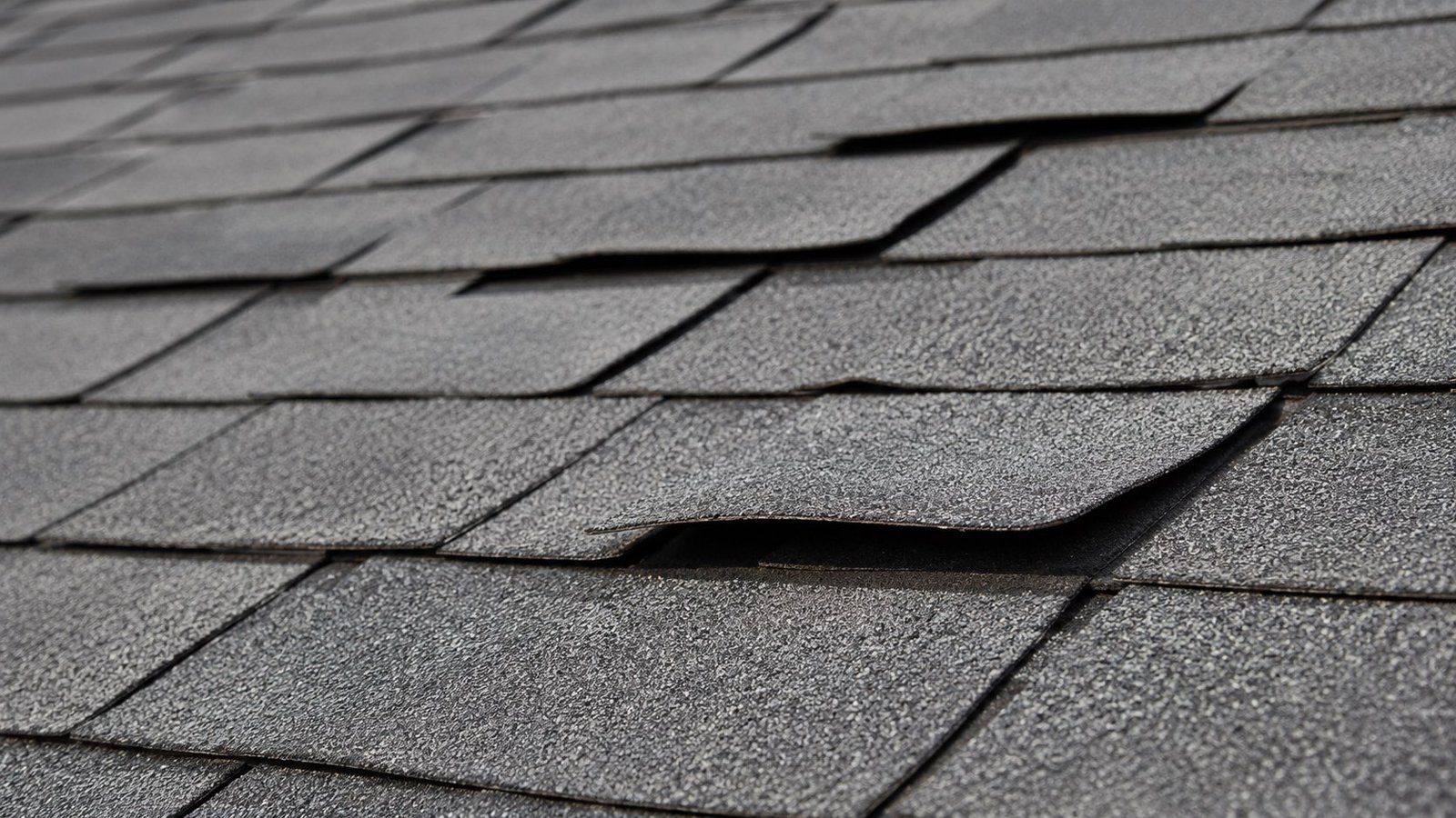Lifted and curling asphalt shingles from wind damage on a Rio Grande Valley roof
